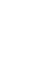 wauwausalon